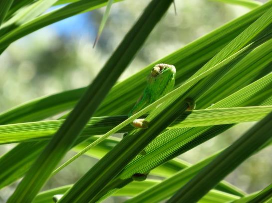 호텔 Helderview Homestead