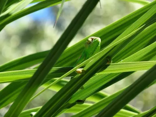 ホテル Helderview Homestead