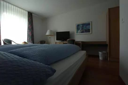 ホテル Land-gut-platanenhof Seminar