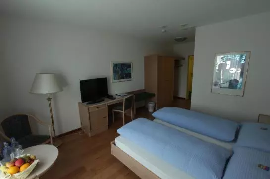 ホテル Land-gut-platanenhof Seminar