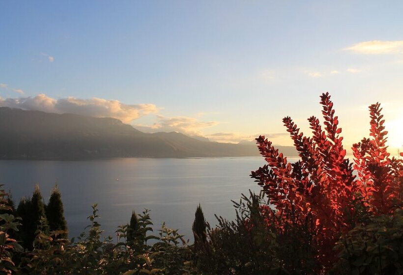 Baron Tavernier Hotel Restaurant & Spa