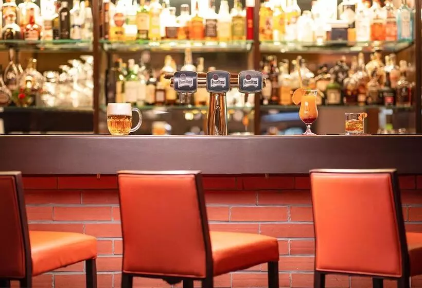 호텔 Orea Resort Devět Skal Vysočina