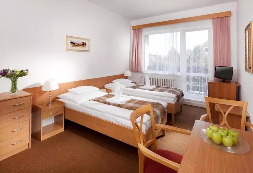 ホテル Penzion Hubert Františkovy Lázně