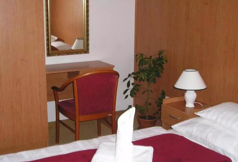 ホテル Penzion Hubert Františkovy Lázně