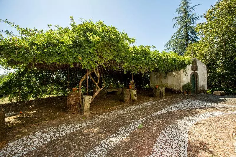 هتل Quinta De Sao Caetano