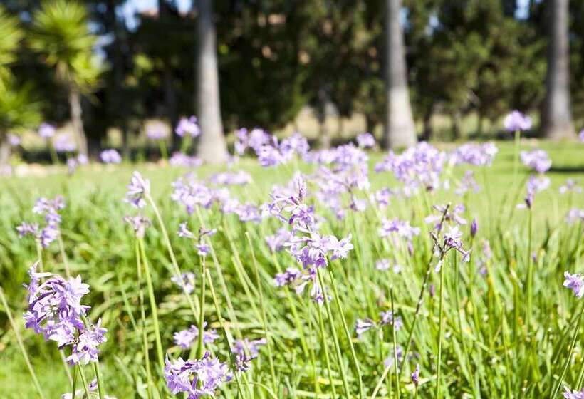 Отель S Hort De Son Caulelles   Adults Only