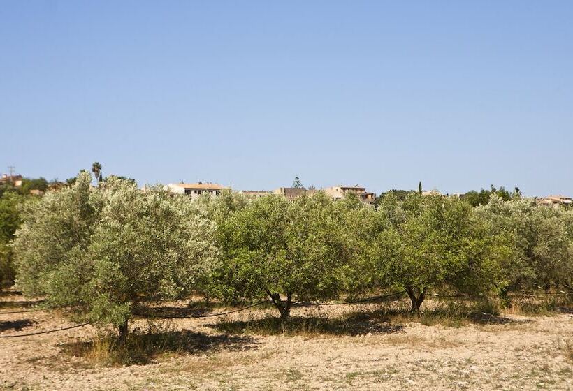 Отель S Hort De Son Caulelles   Adults Only