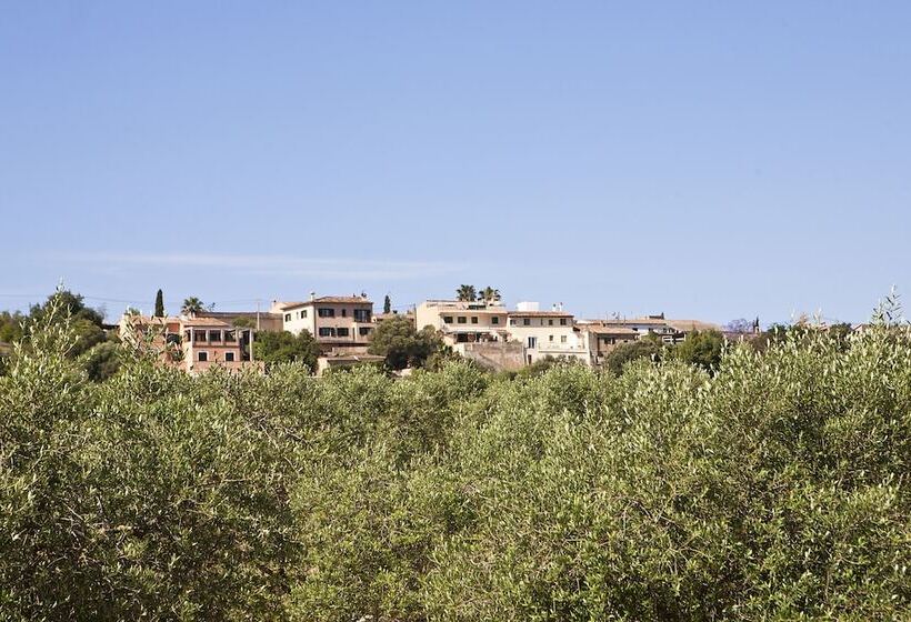 Отель S Hort De Son Caulelles   Adults Only