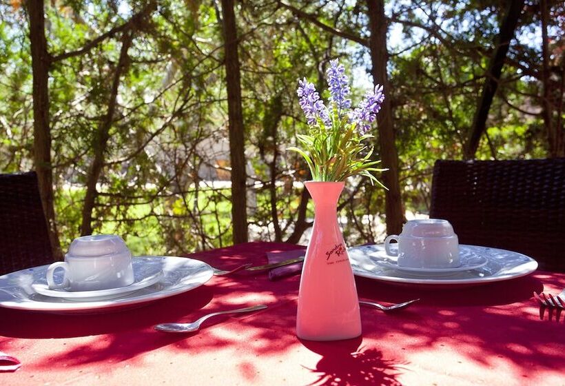 Отель S Hort De Son Caulelles   Adults Only