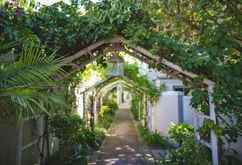 Hotel Last Word Franschhoek