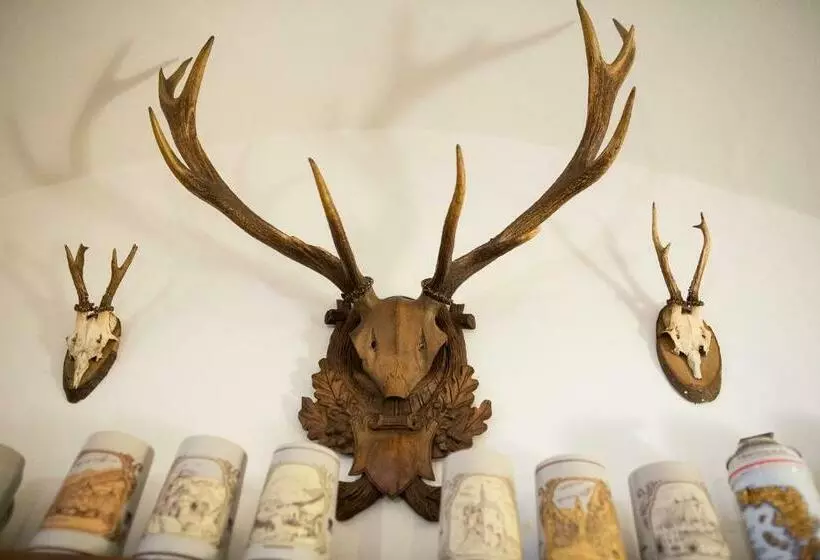 膳宿费 Gasthof Moarwirt