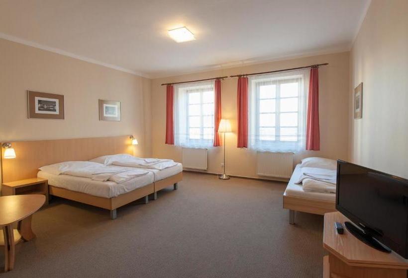 פנסיון V Centru