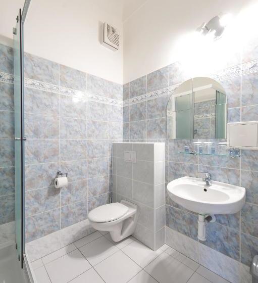 פנסיון V Centru