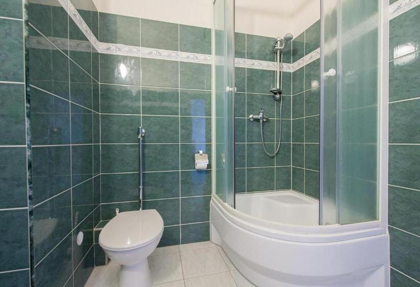 פנסיון V Centru