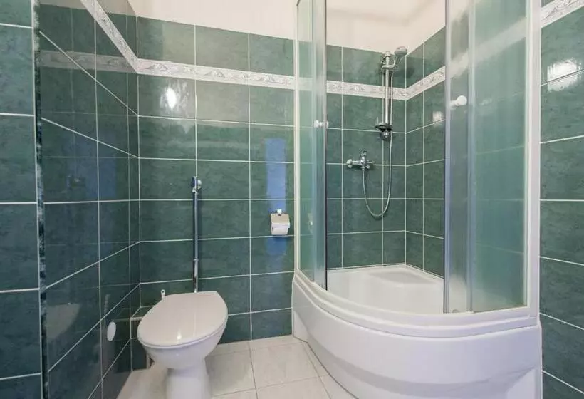 پانسیون V Centru