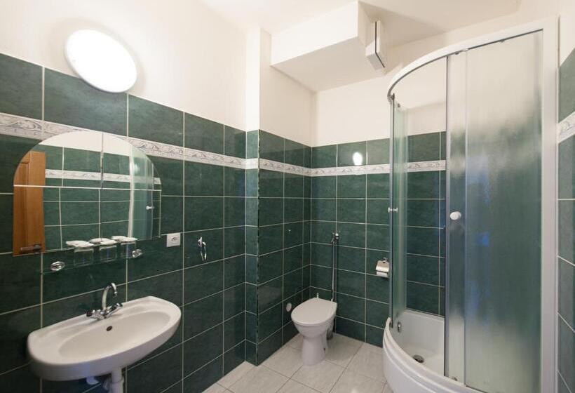 פנסיון V Centru