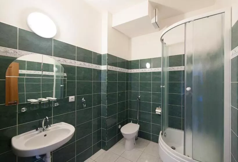 پانسیون V Centru