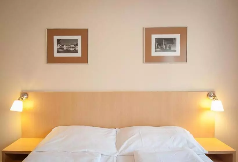 پانسیون V Centru