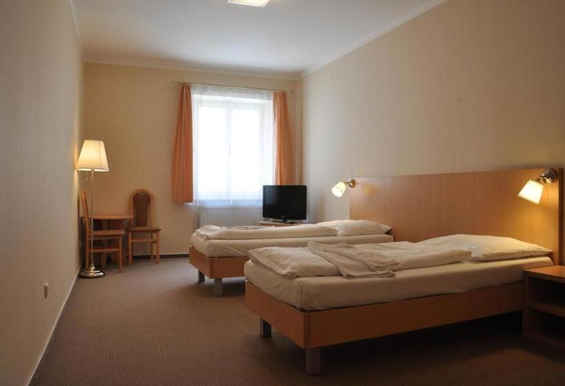 פנסיון V Centru