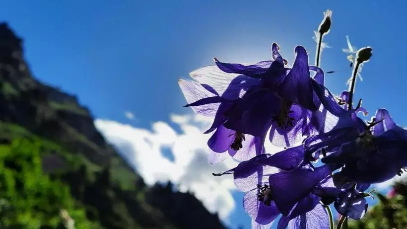 Appartement Le Cocon Mont Louis 66