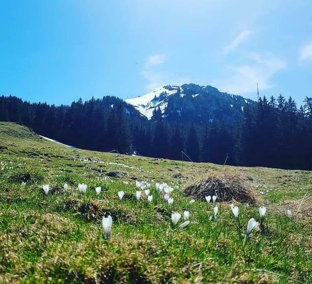 Bed and Breakfast Jägerwinkl 2