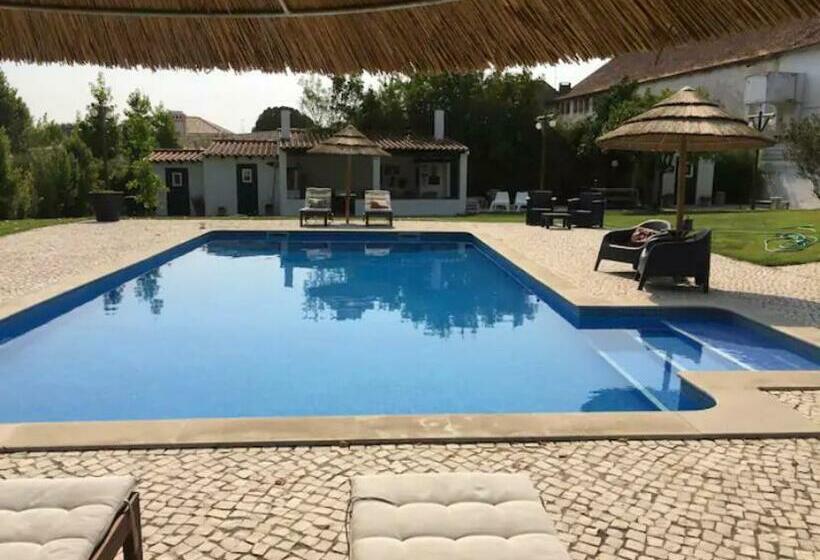 膳宿费 Casa Pitta Charm Villa