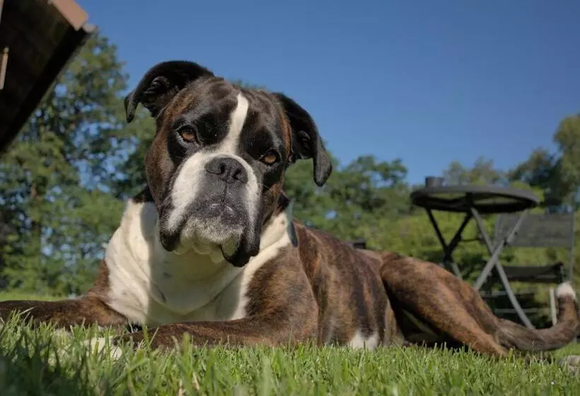 Friesenparadies Fri Südliches Friesland