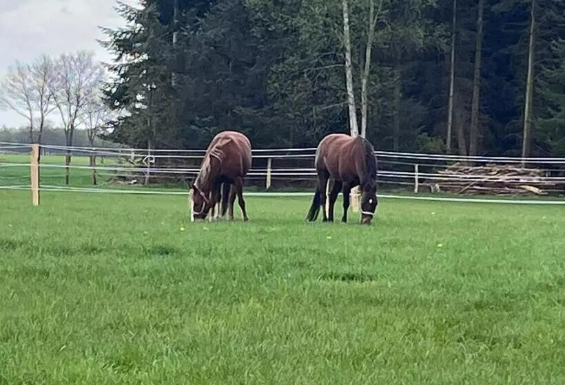 Friesenparadies Fri Südliches Friesland