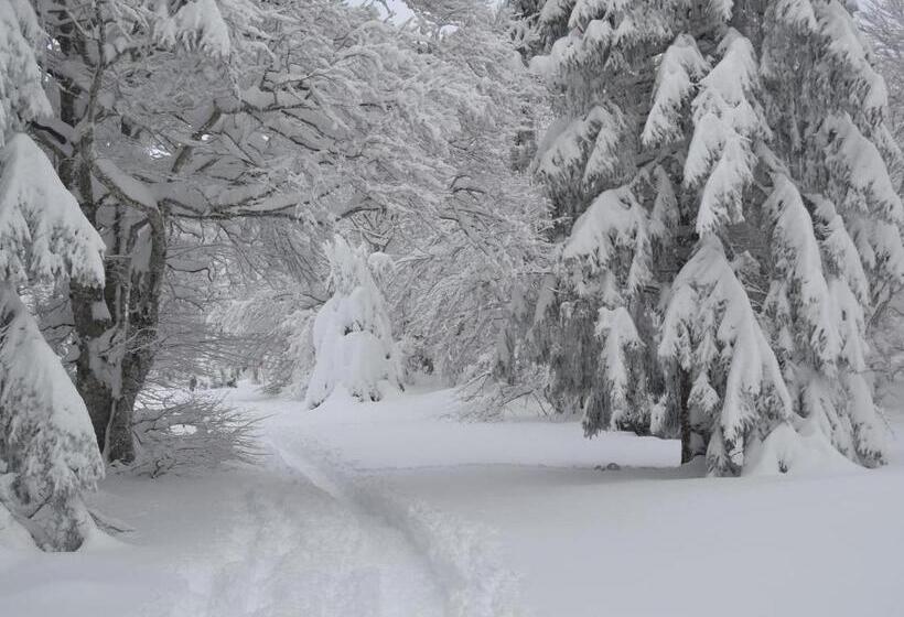 Lo Pastre   Luxueux T2