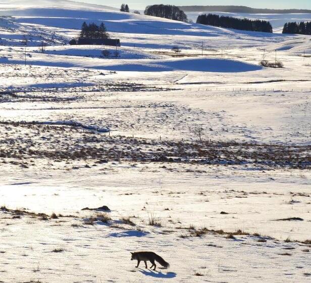 Lo Pastre   Luxueux T2