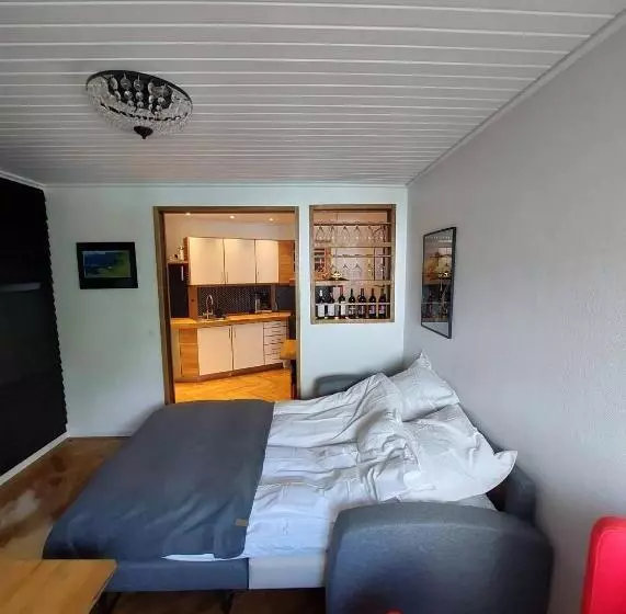 Tórshavn City Apartment