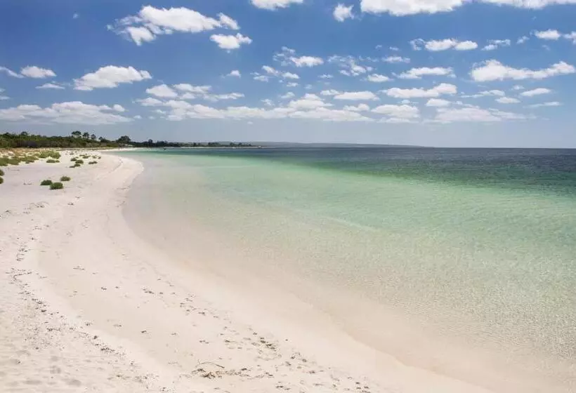 Beach & Trees, Beachfront Siesta Park