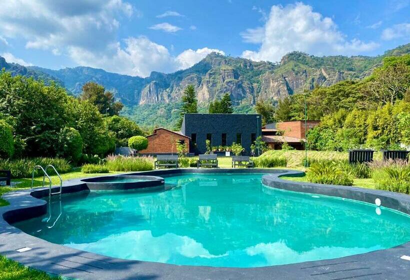 Отель Quinta Tonantzin