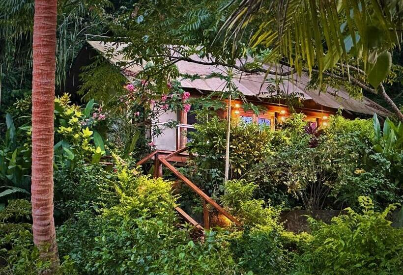 فندق Sau Bay Resort & Spa