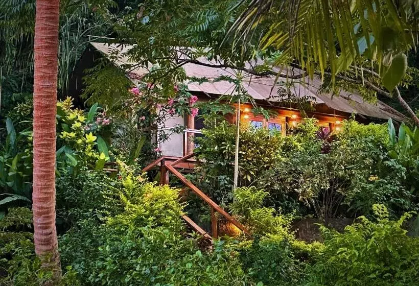 ホテル Sau Bay Resort & Spa
