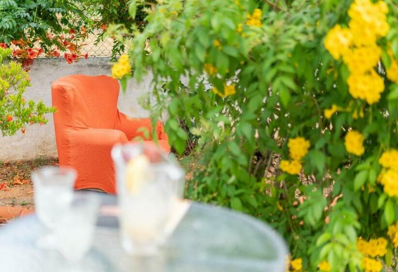 Bed and Breakfast Vivenda Aromas Do Algarve