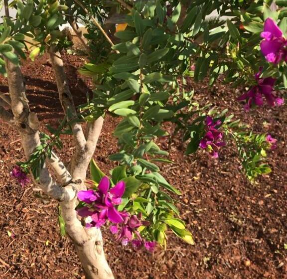 צימר Zerostuni Suite Apartment