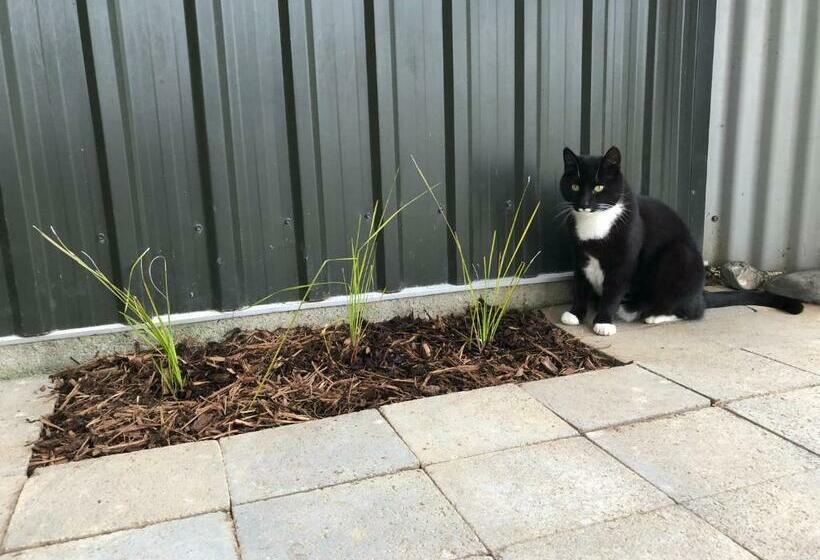 Cosy Country Stay B&b