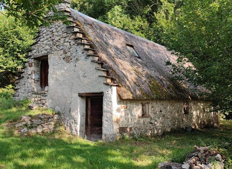 Grand Appartement En Rdc Vallée De Campan