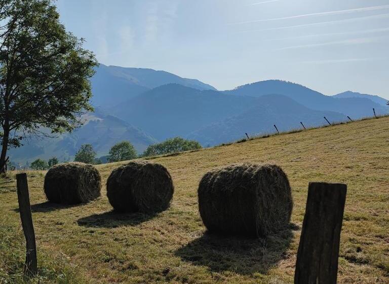 Grand Appartement En Rdc Vallée De Campan