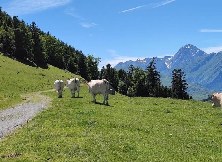 Grand Appartement En Rdc Vallée De Campan
