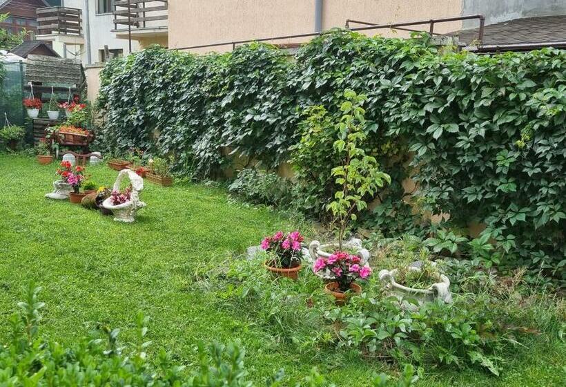 Пансион Vila Emily