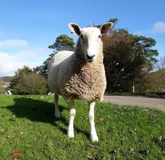 Beautiful Traditional Secluded Country Cottage