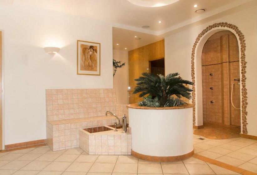 مبيت وإفطار Montana