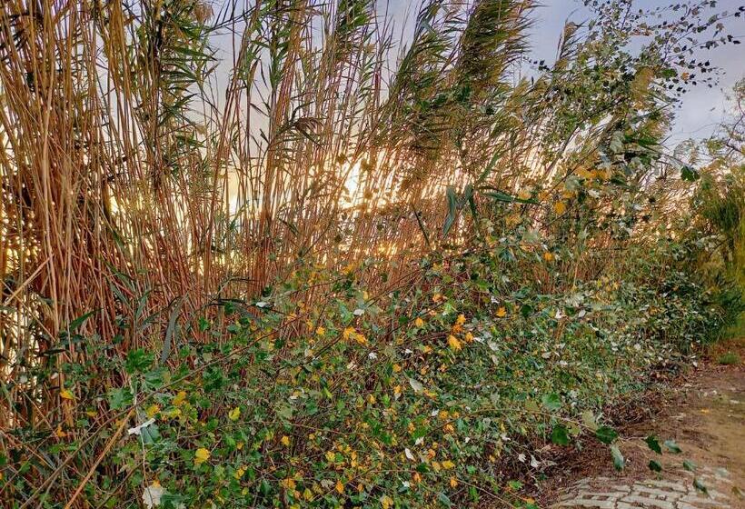 L Hotelet Del Delta   Adults