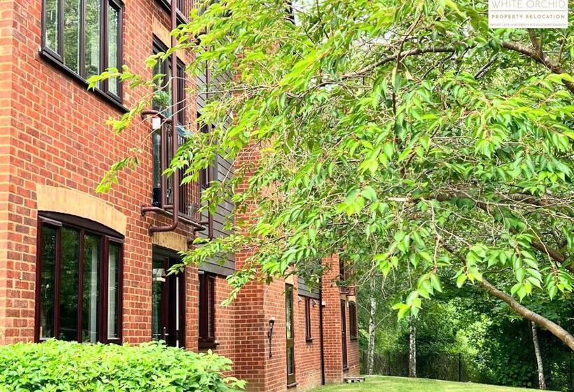 Contractors 2 Bed Apartment In Stevenage Sg1 Hertfordshire By White Orchid Property Relocation Leisu