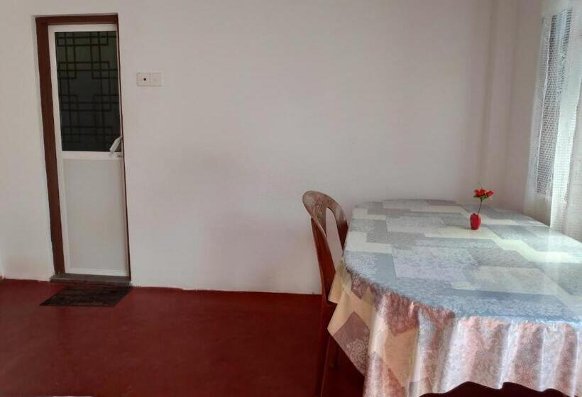 فندق صغير Tropical Point Inn