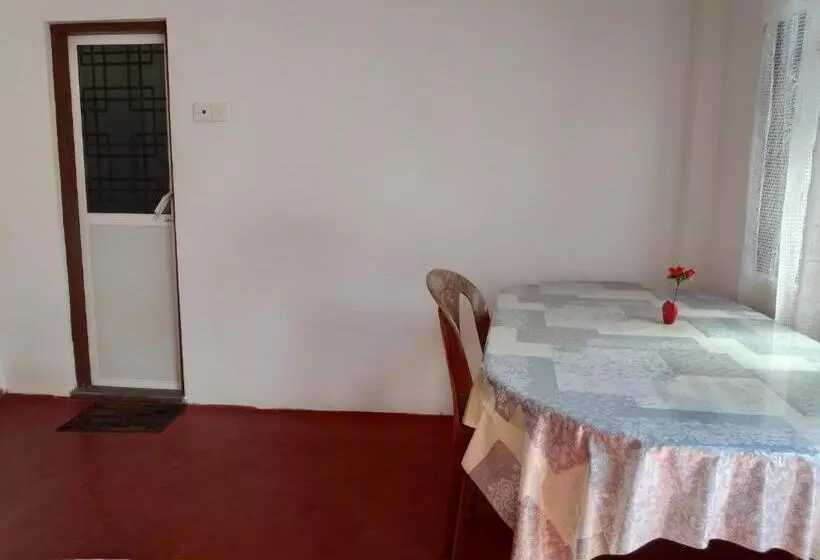 Retkeilymaja Tropical Point Inn