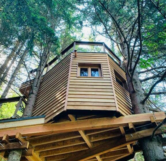 تختخواب و صبحانه Cabane Dans Las Arbres   Valmo Insolite