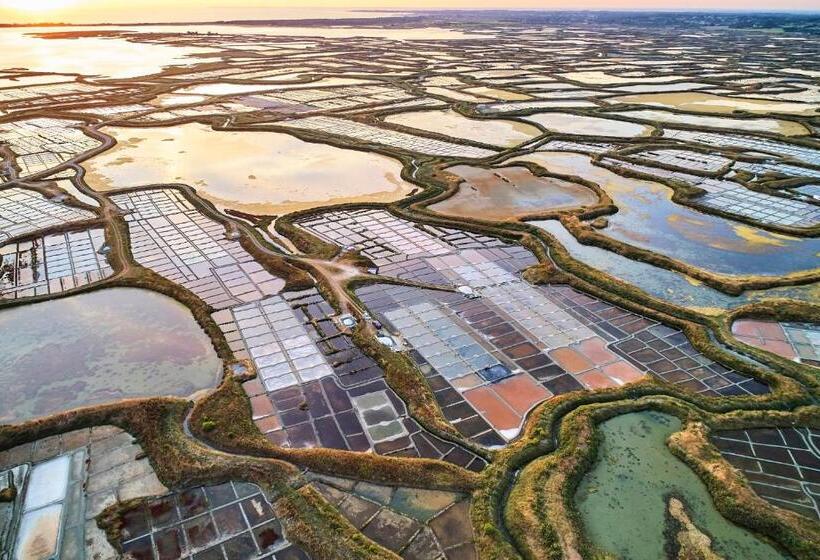 Le Cottage Baulois Entre Mer Et Nature Plages Tout à Vélo Ou à Pied Piscine Couverte